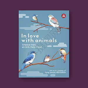 昆虫和鸟类海报设计与水彩插图展示雀科野生动物创造力艺术绘画蓝色动物蓝尾图片