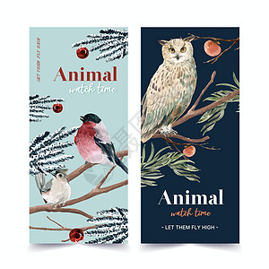 冬季动物传单设计 用猫头鹰 拖着奶嘴的水彩色插图图片