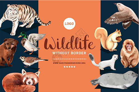起飞的鸟冬季动物框架设计有老虎 鸟 松鼠 水彩色插图插画