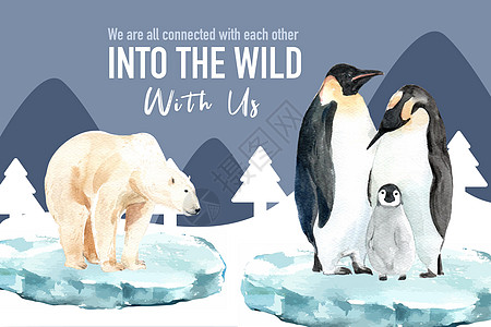冬季动物框架设计 用北极熊 企鹅水彩色图解图片
