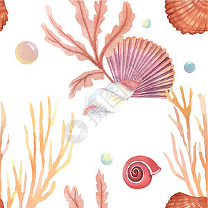 海壳海洋生命模式无缝 海滩上暑假旅行 孤立的aquarelle纺织品 矢量插图彩色珊瑚彩虹色彩海军海上生活水彩画热带海洋假期生活图片