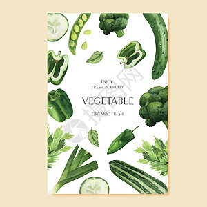 有机菜单想法农场 健康有机设计 水瓶矢量图解;绿色蔬菜 水彩色花绿图片