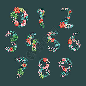 热带热带字母表 Sanserif字体印刷设计暑期 配有植物树叶概念 适生水彩色矢量插图设计收藏花朵叶子季节动物艺术衬线假期派对棕图片