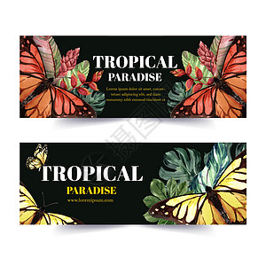 带蝴蝶和热带植物的条形设计 对比色矢量示意图模板图片