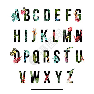 英国字体 水彩色热带花叶和花饰等装饰品 (注 以英文写成的)图片