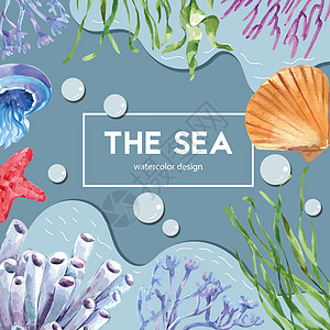 海洋生物主题框架设计与海底动物 创意对比彩色插图模板图片