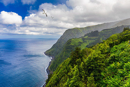 亚速尔群岛的自然景观尽收眼底 风景优美的葡萄牙岛屿 火山口和绿色田野中的美丽泻湖 旅游胜地和旅游目的地 亚速尔群岛 葡萄牙气候天图片