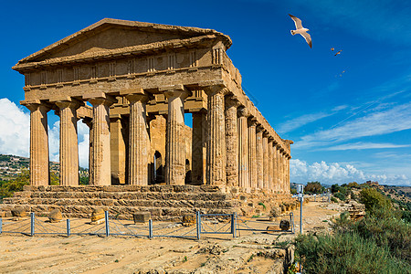 圣殿谷 康科迪亚寺庙 这是在公元前五世纪建造的古希腊神庙 Agrigento 西西里地标石头纪念碑古董旅游柱廊考古学建筑学山谷文图片