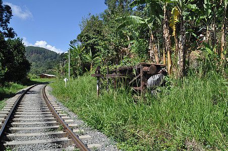 铁路公路旁废弃的货运车森林民众旅游机车热带火车破坏运输残骸旅行图片