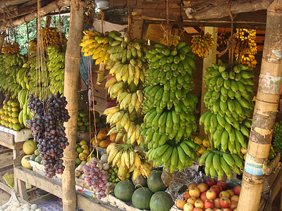 斯里兰卡的水果和蔬菜摊位生产旅行农业收成食物农场市场销售零售香蕉图片