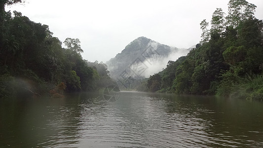 斯里兰卡Kitulgala附近河图片