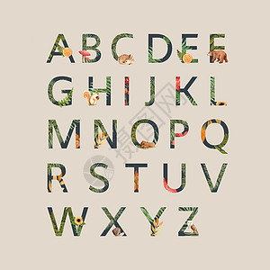 以秋季主题 植被简单和智能风格的矢量模板为对象的字母设计图片