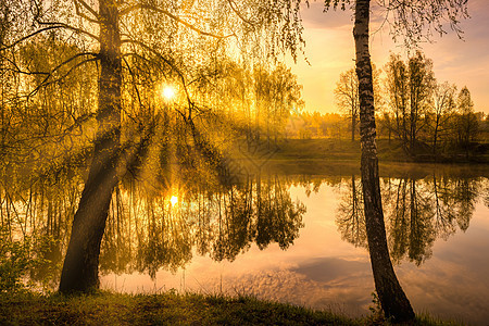 春天一早 在水池附近太阳升起 河岸上布满烟囱 阳光穿过树木光束日落太阳光薄雾池塘风景叶子射线倒影树干图片