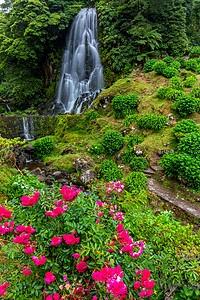 圣米格尔 亚速尔群岛 葡萄牙的瀑布 葡萄牙亚速尔群岛圣米格尔的公园被绣球花环绕的美丽瀑布自然保护区植物群荒野娱乐花园旅行自然景观图片