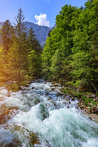 美丽多彩的夏季景观与溪流和森林 夏季森林中的河流和阳光穿过树叶 夏季自然景观 Bohinj 斯洛文尼亚图片