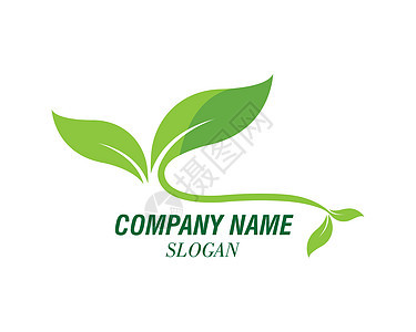 绿叶生态自然元素 vecto 的标志树叶商业太阳发芽农场公司插图植物绿色环境图片
