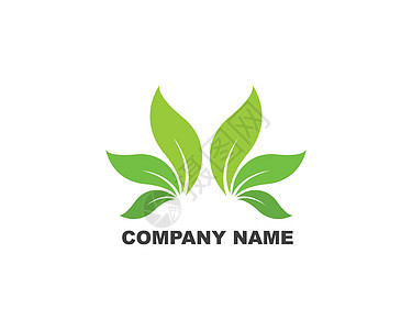 绿叶生态自然元素 vecto 的标志环境生长插图树叶生物太阳绿色植物公司商业图片