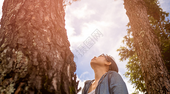 一位快乐的女子站在一棵雄伟的树旁 仰望着春天花园中最享受的自然 旅行和非毁林的概念 笑声生态丛林树干生长行星砍伐闲暇女士树木植物图片