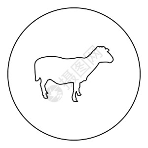 绵羊母羊家畜农场动物偶蹄羊羔牛轮廓圆形黑色矢量插图轮廓轮廓样式图像图片