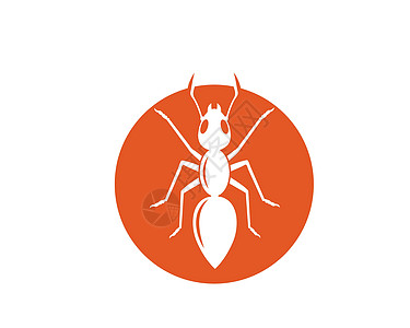 蚂蚁标志图标矢量插图设计标识昆虫团体动物工人殖民地工作白色团队卡通片图片