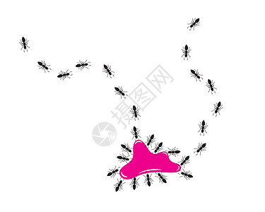 蚂蚁标志图标矢量插图设计团体工人白色黑色害虫昆虫动物工作团队踪迹图片