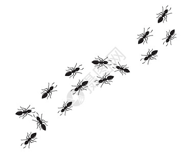 蚂蚁标志图标矢量插图设计害虫工作黑色卡通片工人殖民地动物团队踪迹标识图片