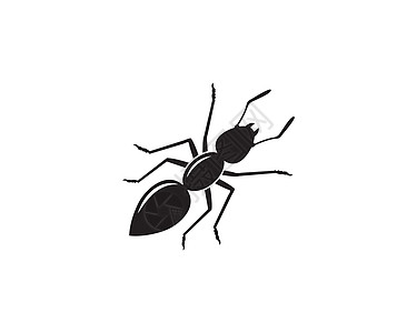 蚂蚁标志图标矢量插图设计踪迹团体工作团队害虫标识漏洞动物殖民地卡通片图片