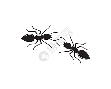 蚂蚁标志图标矢量插图设计工人工作黑色害虫殖民地动物昆虫漏洞标识白色图片