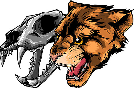 美洲狮豹头与头骨矢量它制作图案中学丛林荒野插图运动动物哺乳动物团队死亡捕食者图片