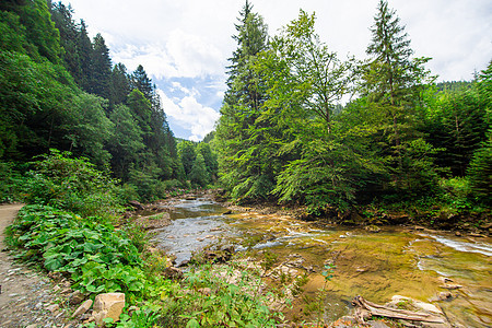 小河流经山林 纯自然景象;小河流经山区森林图片