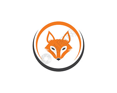狐狸标志图标矢量模板白色标识尾巴动物艺术荒野动物园毛皮森林插图图片