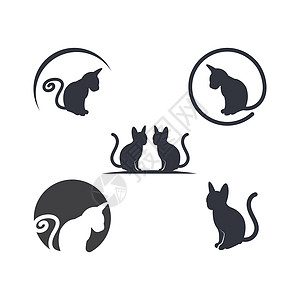 猫矢量图标插图设计朋友动物浣熊吉祥物卡通片毛皮小猫收藏动物园爪子图片