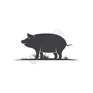 猪矢量图标插画设计绘画白色草图动物荒野公猪农场尾巴插图哺乳动物图片