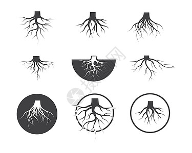 树根矢量图标插图设计收藏环境树叶植物群木头树干科学墙纸叶子公司图片