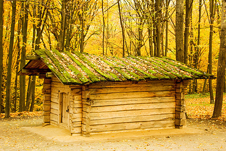 传统的乌克兰农村小屋 有稻草屋顶地标农场茅草天空木头旅行国家甘蔗花园窗户图片