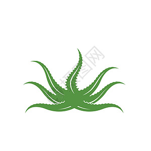 芦荟标志图标矢量插图设计艺术叶子肉质生长植物草本白色医疗草本植物绿色图片