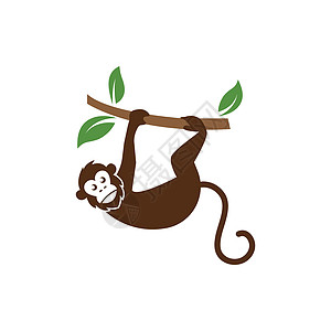 猴子矢量标志图标插图设计动物园漫画叶子绘画尾巴艺术荒野大猩猩人猿图片
