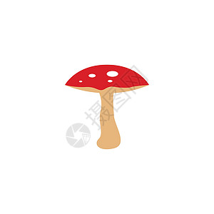 蘑菇矢量图图标设计森林蘑菇蔬菜雨衣牡蛎植物农业马勃家族采摘图片