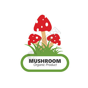 蘑菇矢量图图标设计插图营养食物森林牡蛎卡通片收成菌类植物收藏图片