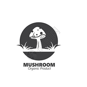 蘑菇矢量图图标设计收成牡蛎草图植物马勃雨衣蘑菇农场家族插图图片