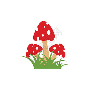 蘑菇矢量图图标设计插图农场采摘蔬菜牡蛎家族马勃美食蘑菇森林图片