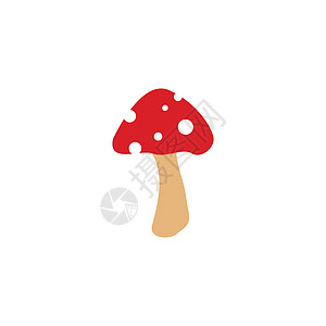 蘑菇矢量图图标设计农业家族食物蘑菇牡蛎农场草图插图森林采摘图片
