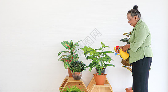 年长的亚裔女性 照顾家里的植物老年花盆园丁祖母爱好闲暇工作女士植物群花园图片