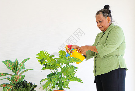 年长的亚裔女性 照顾家里的植物花园园艺植物群成人祖母园丁金发爱好家务房子图片