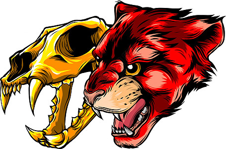 美洲狮豹头与头骨矢量它制作图案动物颅骨骨骼力量插图艺术团队运动中学死亡图片