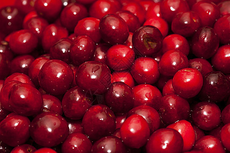 樱桃的特写食物果汁浆果维生素养分植物宏观营养水果甜点图片