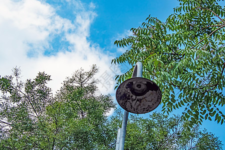 自然和树木中的腐烂街道灯建筑学邮政花园城市森林力量公园天空灯笼旅行图片