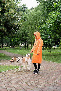 穿着橙色雨衣的年轻女子与她的狗在公园里散步犬类猎犬闲暇街道幸福女性朋友宠物女士成人图片