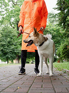 穿着橙色雨衣的年轻女子与她的狗在公园里散步伴侣闲暇街道犬类女士朋友宠物幸福成人天气图片