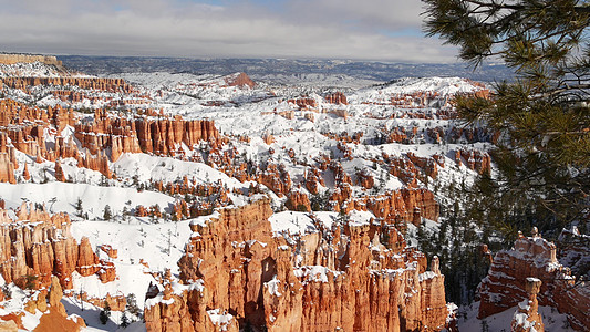 冬天的布莱斯峡谷 美国犹他州的雪 圆形剧场中的不祥之物 侵蚀的浮雕 全景远景点 独特的橙色阵型 红砂岩 针叶松或枞树 美国的生态图片
